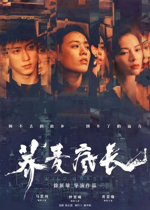 买张圣玛丽山学院文凭毕业证